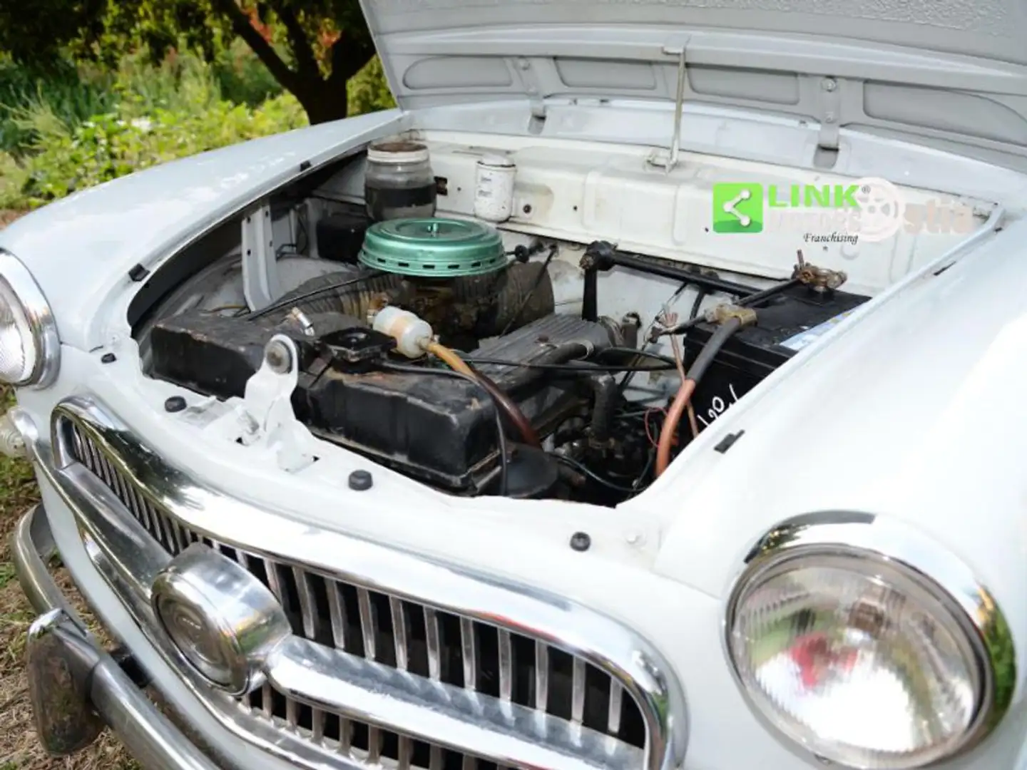 Fiat 1100 BAULETTO Grijs - 2