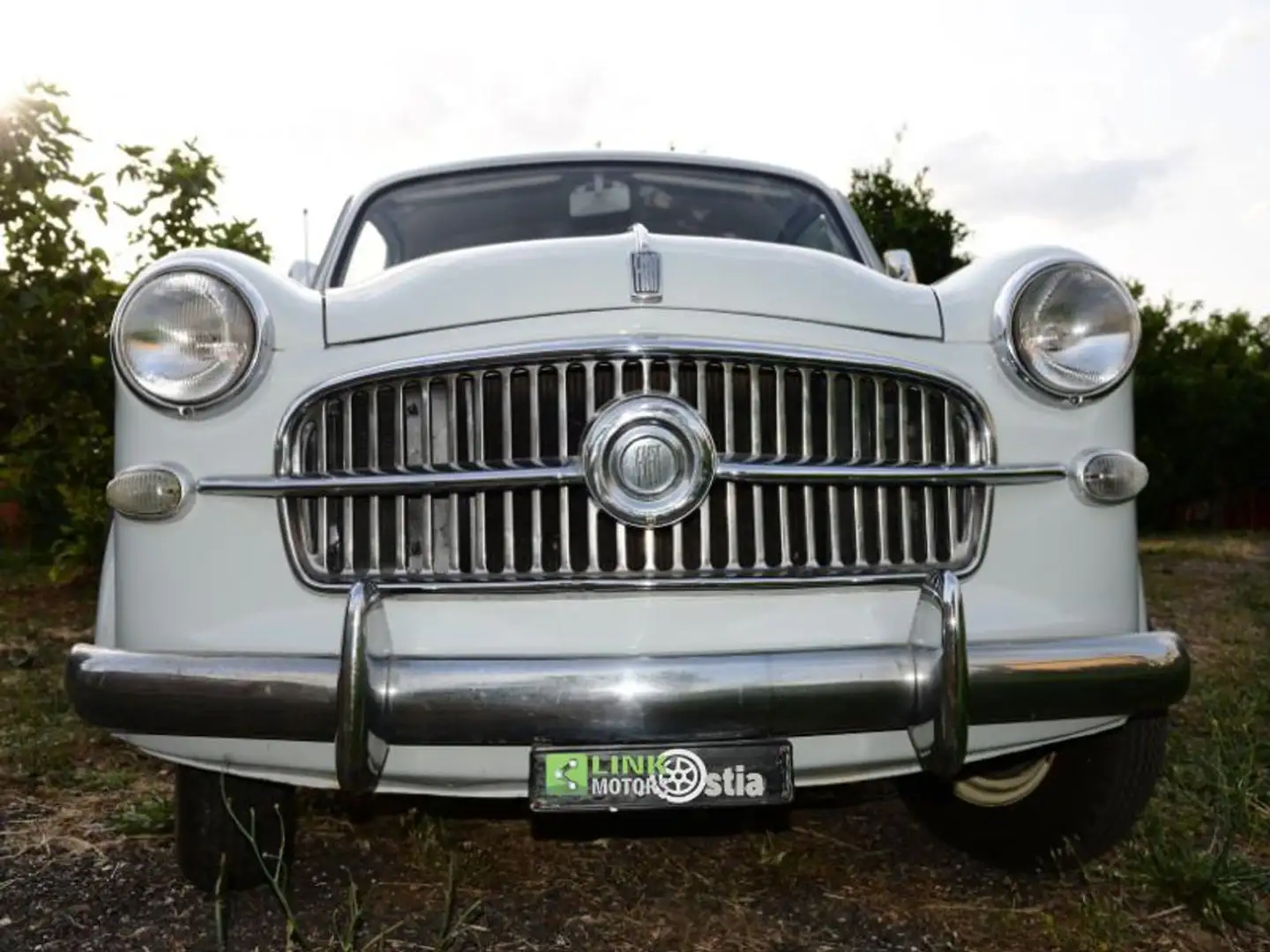Fiat 1100 BAULETTO Grijs - 1