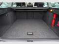 Skoda Octavia Combi 1.5 TSI ACT DSG Style LED, Einp Grigio - thumbnail 7