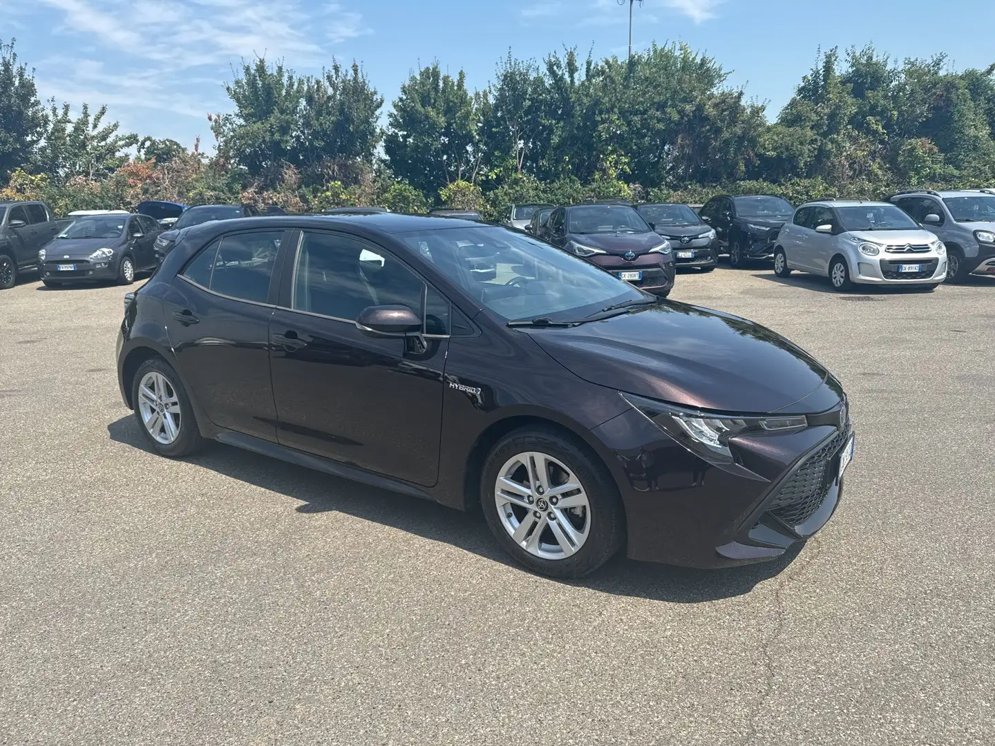 Toyota Corolla Corolla 1.8 Hybrid Business Grigio - 1