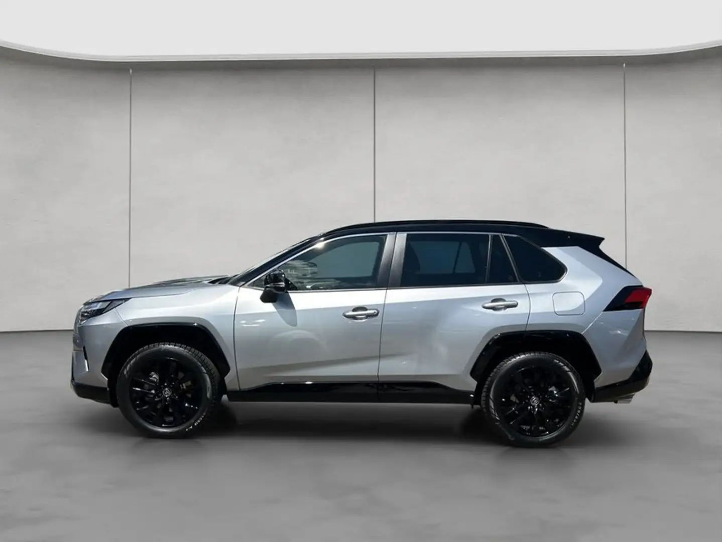 Toyota RAV 4 2.5 4x4 Hybrid Style Selection Argento - 2