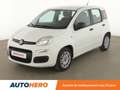 Fiat Panda 1.2 Easy Blanc - thumbnail 1