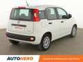 Fiat Panda 1.2 Easy Blanc - thumbnail 6