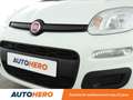 Fiat Panda 1.2 Easy Blanc - thumbnail 24