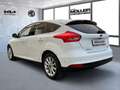 Ford Focus Titanium Navi Leder Bi-Xenon Weiß - thumbnail 6