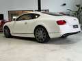 Bentley Continental GT 6.0 W12 Speed 4WD Automatik Wit - thumbnail 4