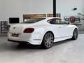 Bentley Continental GT 6.0 W12 Speed 4WD Automatik Wit - thumbnail 3