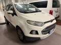 Ford EcoSport 1.5 TDCi 90 CV Bianco - thumbnail 5
