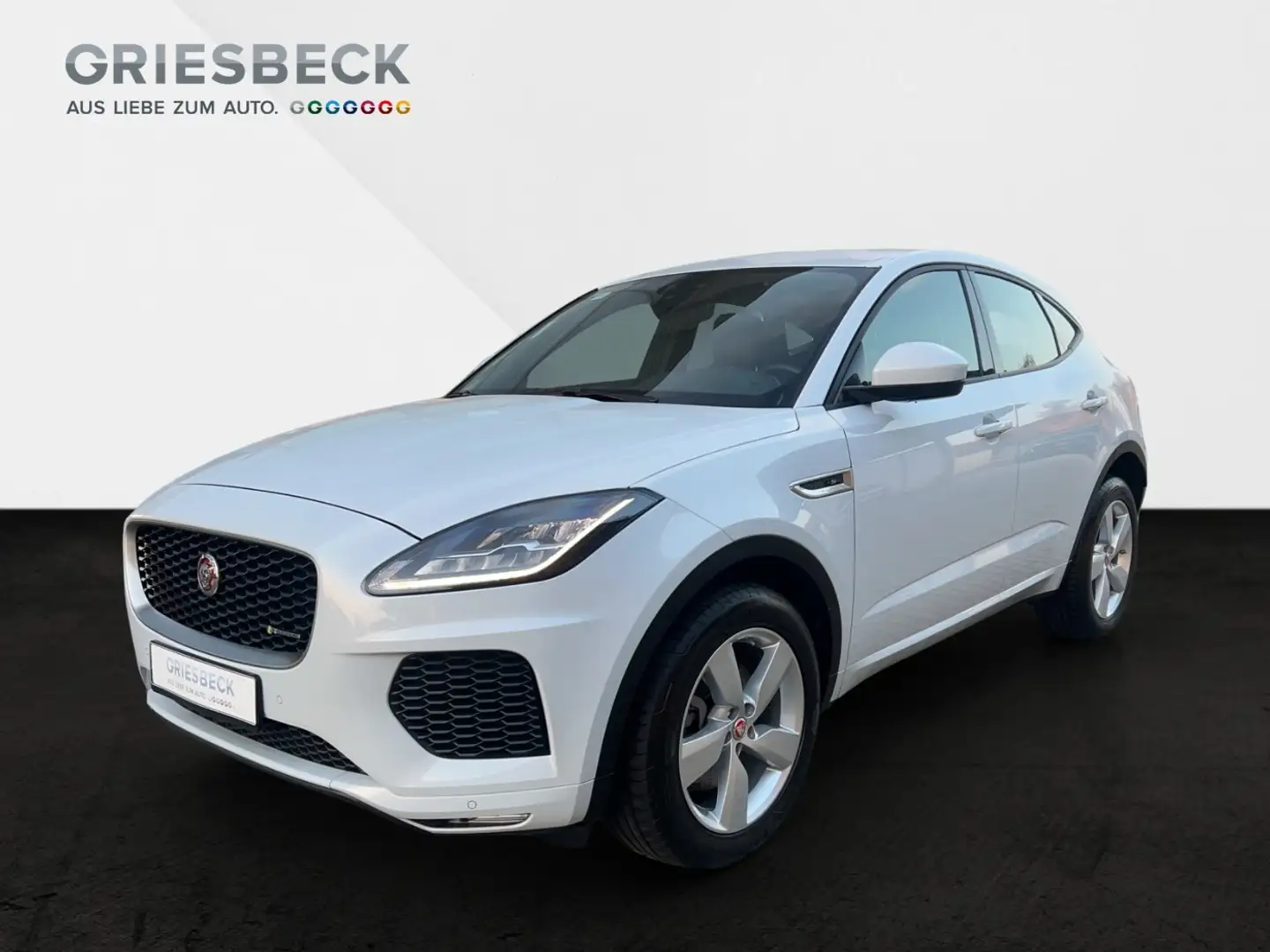 Jaguar E-Pace P250 R-Dynamic LM LED elSitz PDC el.Heck Blanc - 1