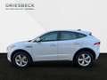 Jaguar E-Pace P250 R-Dynamic LM LED elSitz PDC el.Heck Blanc - thumbnail 3