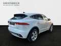 Jaguar E-Pace P250 R-Dynamic LM LED elSitz PDC el.Heck Blanc - thumbnail 6
