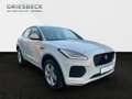 Jaguar E-Pace P250 R-Dynamic LM LED elSitz PDC el.Heck Blanc - thumbnail 7