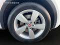 Jaguar E-Pace P250 R-Dynamic LM LED elSitz PDC el.Heck Blanc - thumbnail 17