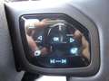 Ford Capri RWD 77kWh ACC RFK TWA 19" LMR SHZ LED Gris - thumbnail 27