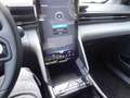 Ford Capri RWD 77kWh ACC RFK TWA 19" LMR SHZ LED Gris - thumbnail 15