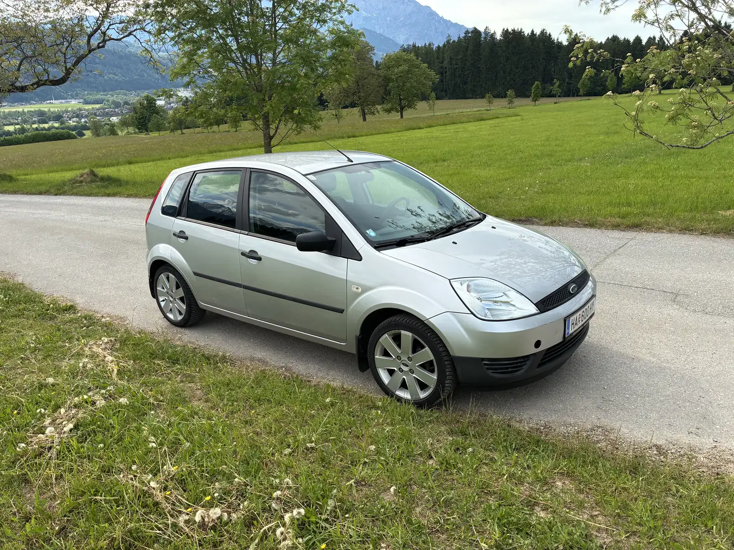 Ford Fiesta Ambiente 1,3 8V - 1