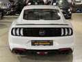 Ford Mustang GT+MAGNERIDE+UNFALLFREI+D.FHZG+SHZ+1J. GARANTIE Blanc - thumbnail 6