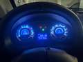 Casalini M20 550 TROFEO “limited edition” Blu/Azzurro - thumbnail 2