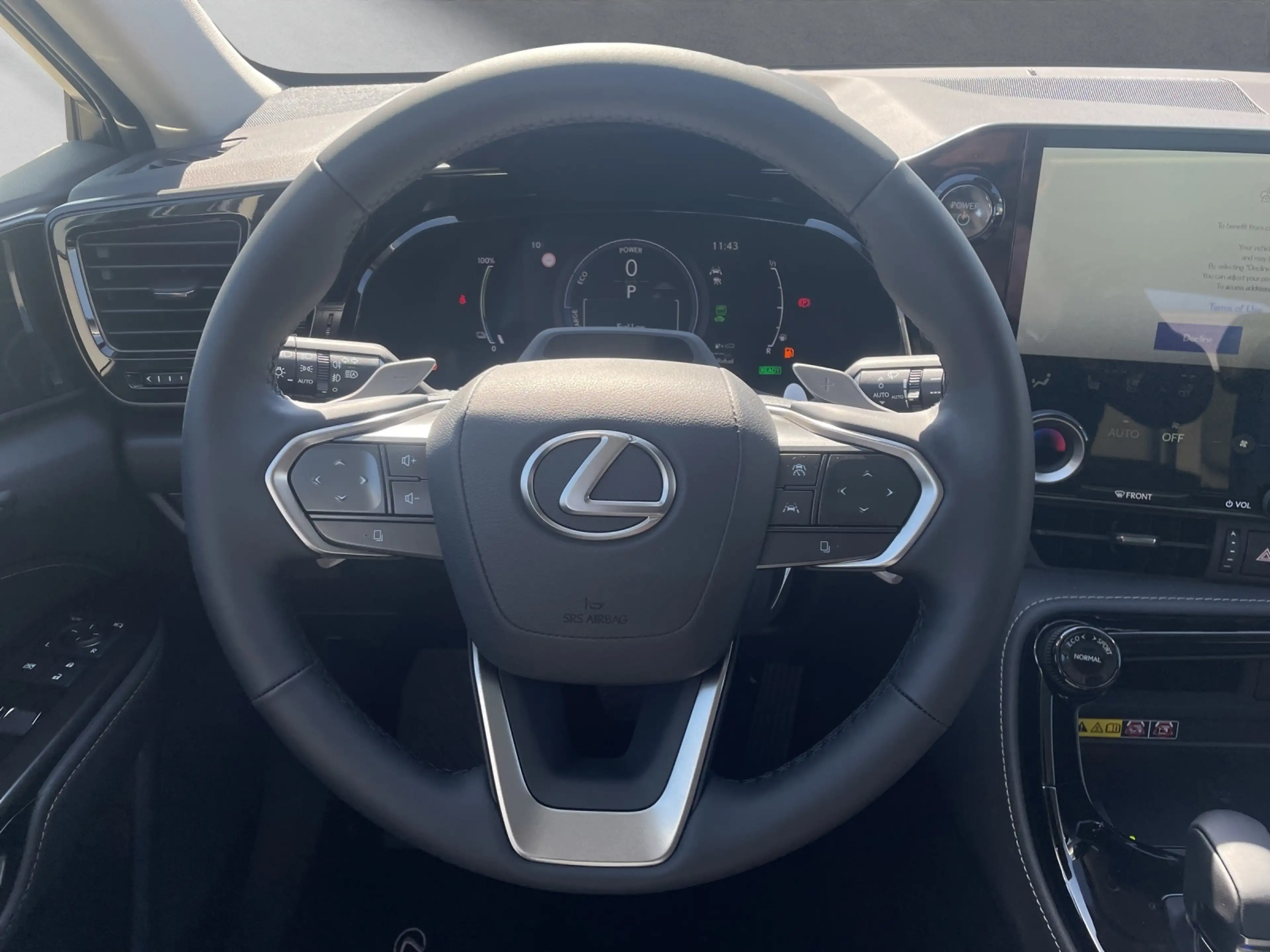 Lexus NX 450h+ + Executive Line NX 450h+ Executive Line — photo 10