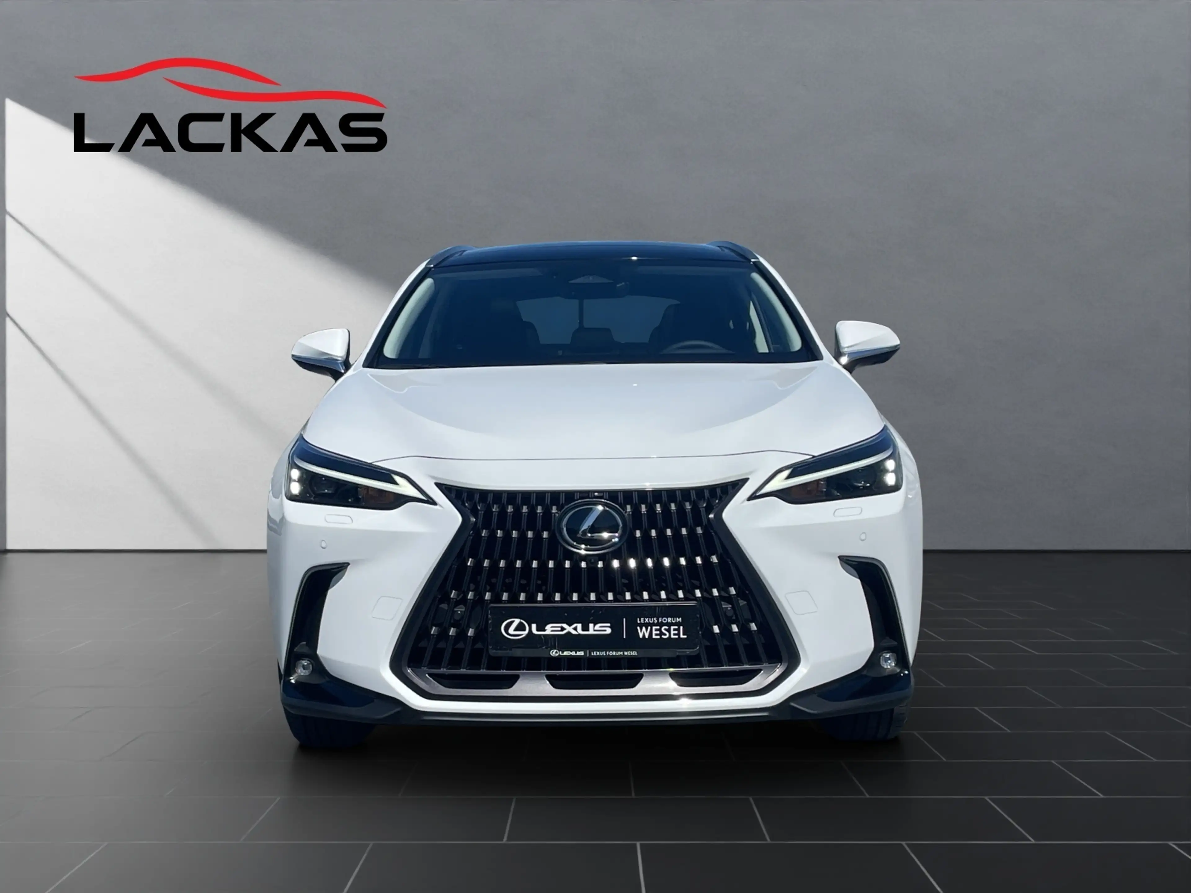 Lexus NX 450h+ + Executive Line NX 450h+ Executive Line — photo 8