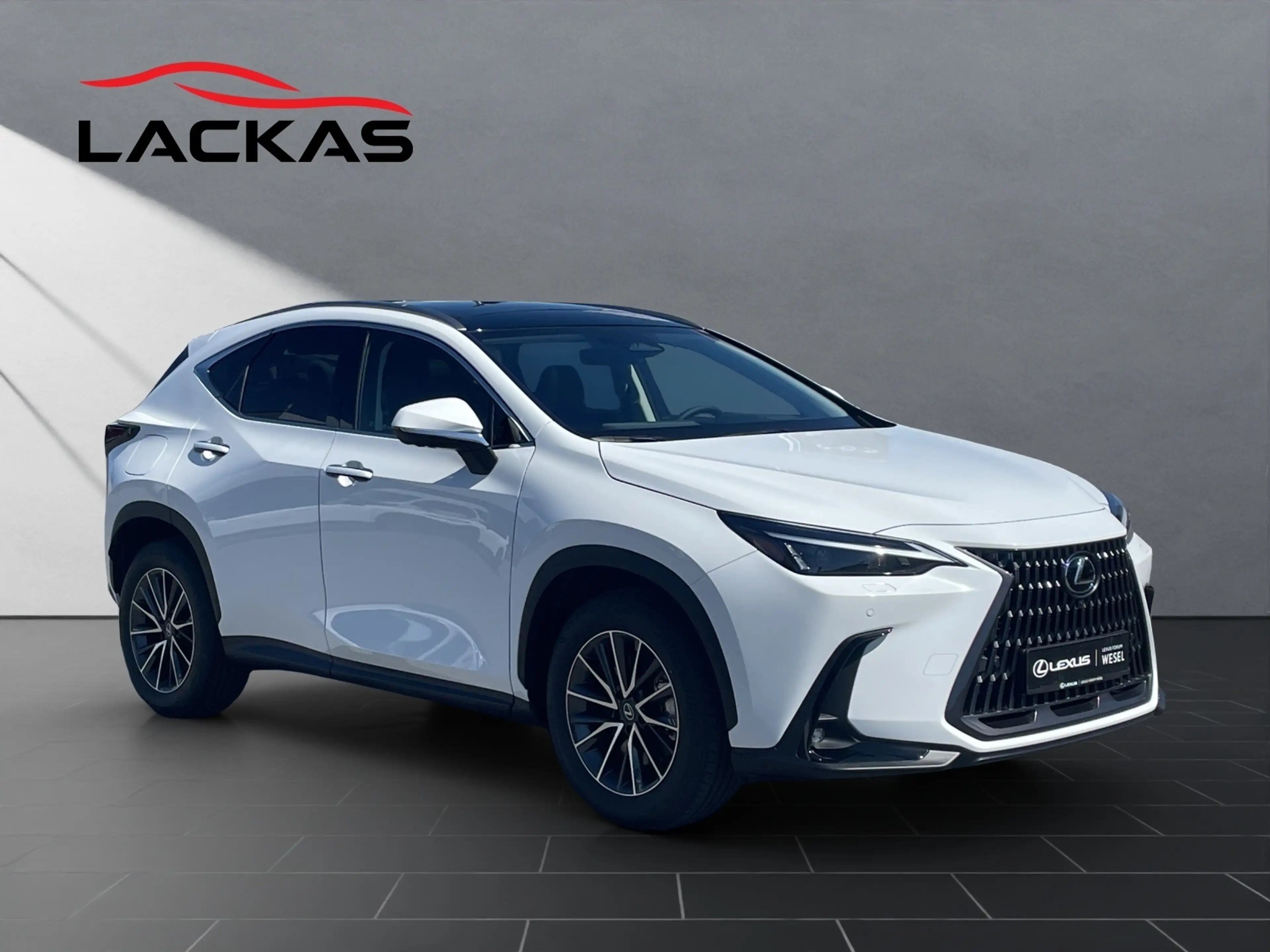 Lexus NX 450h+ + Executive Line NX 450h+ Executive Line — photo 7