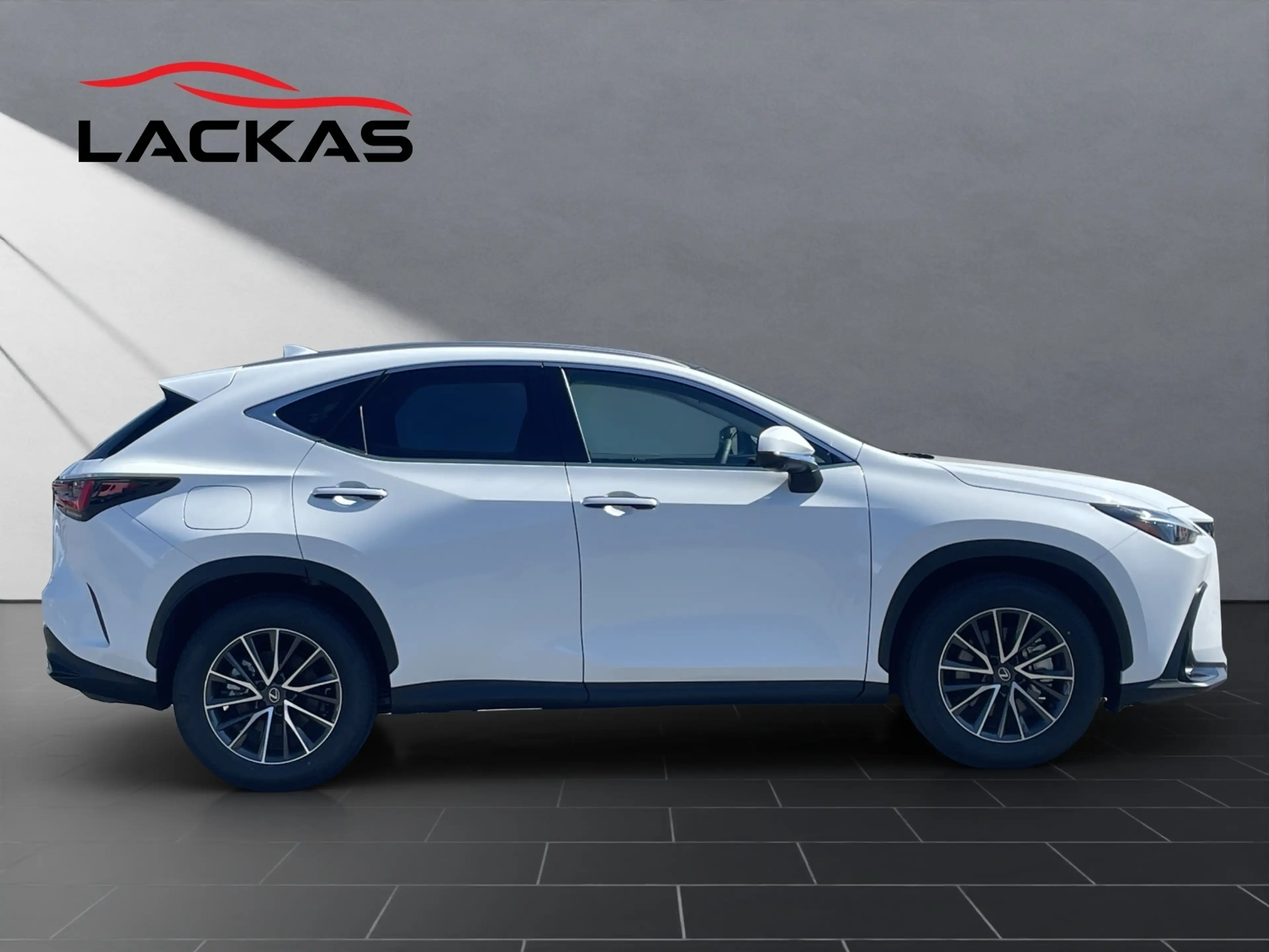 Lexus NX 450h+ + Executive Line NX 450h+ Executive Line — photo 6