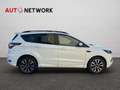 Ford Kuga 1.5 TDCI 120 CV S&S 2WD ST-Line Blanc - thumbnail 8