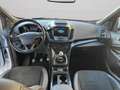 Ford Kuga 1.5 TDCI 120 CV S&S 2WD ST-Line Blanc - thumbnail 11