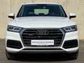 Audi Q5 35 TDI quattro design S-tro Weiß - thumbnail 2