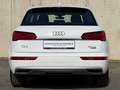 Audi Q5 35 TDI quattro design S-tro Weiß - thumbnail 5