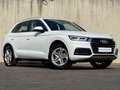 Audi Q5 35 TDI quattro design S-tro Weiß - thumbnail 3
