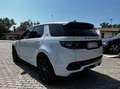 Land Rover Discovery Sport Discovery Sport 2.0d td4 mhev R-Dynamic S 1 prop Bianco - thumbnail 6