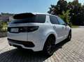 Land Rover Discovery Sport Discovery Sport 2.0d td4 mhev R-Dynamic S 1 prop Weiß - thumbnail 5