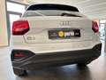 Audi Q2 30 2.0 tdi Admired s-tronic IVA Esposta Wit - thumbnail 4