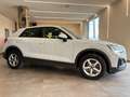 Audi Q2 30 2.0 tdi Admired s-tronic IVA Esposta Wit - thumbnail 2