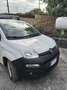 Fiat New Panda Bianco - thumbnail 1