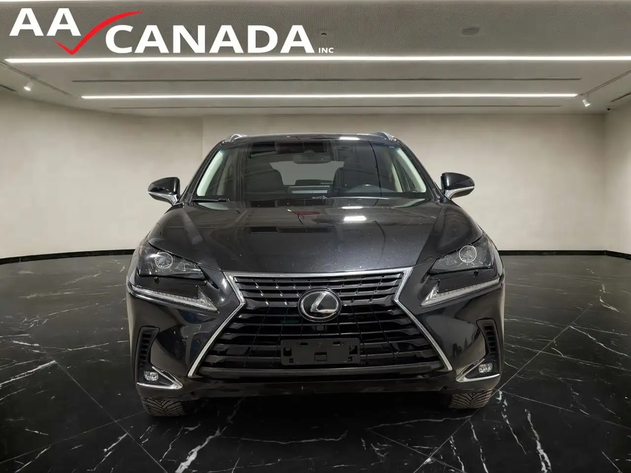 Lexus NX снимка Lexus NX