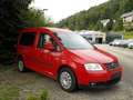 Volkswagen Caddy Caddy 1.6 Gewinner (5-Si.) - thumbnail 7