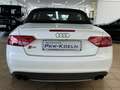 Audi S5 3.0 TFSI QUATTRO*NAVi*B&O*XENON PLUS*APS* Weiß - thumbnail 5