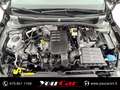 Volkswagen Polo 5p 1.0 evo Comfortline 80cv Grigio - thumbnail 12