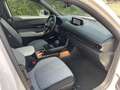 Mazda MX-30 Prime-Line R-EV  Plug In HUD Blanc - thumbnail 10