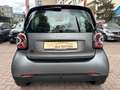 smart forTwo fortwo EQ*EXCL*60kW*PANO*LEDER*SHZ*PTS*KAM*22kW* Grijs - thumbnail 21