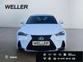 Lexus IS 300 h SPORT*Mark Levinson*Leder*Kamera*SHZ* Weiß - thumbnail 2