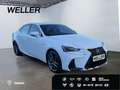 Lexus IS 300 h SPORT*Mark Levinson*Leder*Kamera*SHZ* Weiß - thumbnail 4