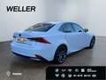 Lexus IS 300 h SPORT*Mark Levinson*Leder*Kamera*SHZ* Weiß - thumbnail 19