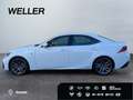 Lexus IS 300 h SPORT*Mark Levinson*Leder*Kamera*SHZ* Weiß - thumbnail 5