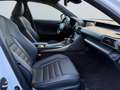 Lexus IS 300 h SPORT*Mark Levinson*Leder*Kamera*SHZ* Weiß - thumbnail 21