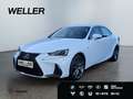 Lexus IS 300 h SPORT*Mark Levinson*Leder*Kamera*SHZ* Weiß - thumbnail 1