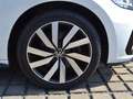 Volkswagen Touran 2.0 TDI DSG R-Line VOLL/STAND-HZ/PANORAMA/18-ZOLL Weiß - thumbnail 7