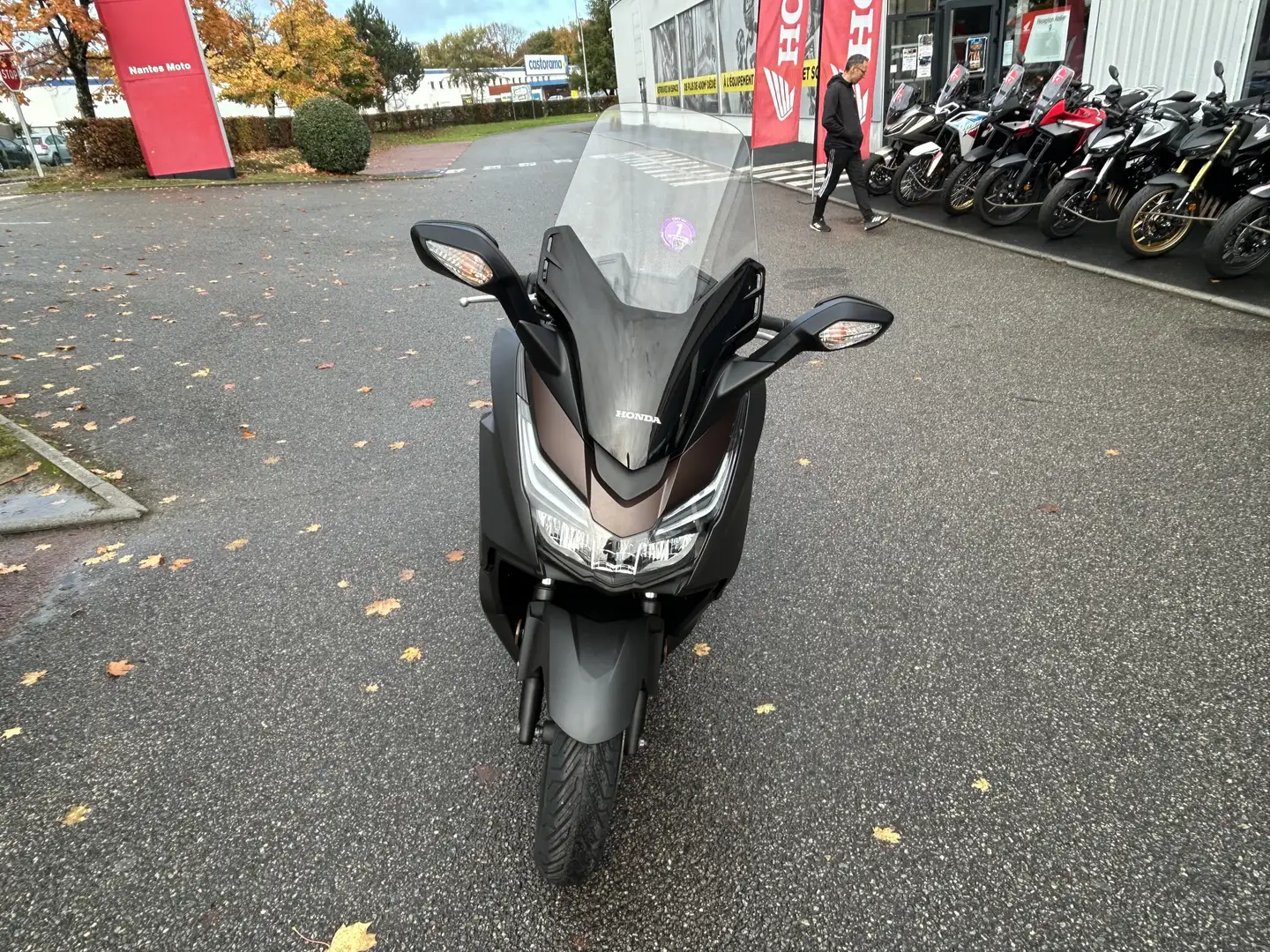 Honda Gris - 2